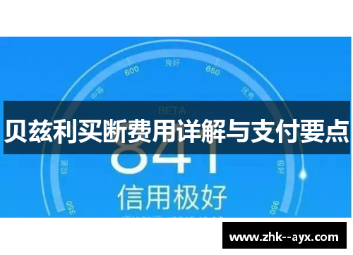 贝兹利买断费用详解与支付要点 贝兹利买断费用详解与支付要点